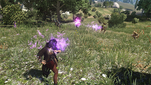 MMORPG '검은사막' 스크린샷