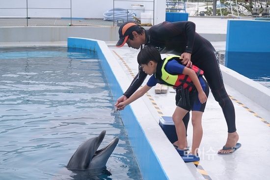 ▲트레이너와함께먹이주기를체험하고있다.<거제씨월드제공>
