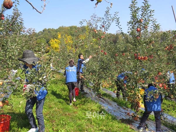 ▲사진=재단법인동천