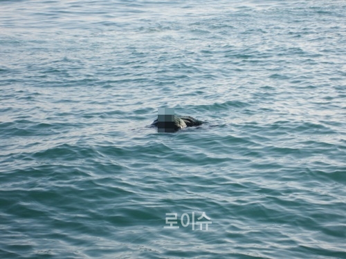 ▲인양당시황씨는검정색등산바지와초록색등산복점퍼착용.(사진제공=부산해양경비안전서)