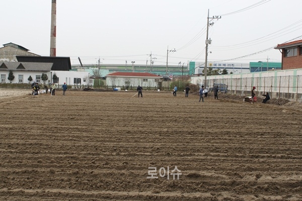 ▲사회봉사명령대상자들이행복나눔농장에서봄감자파종을하고있다.(사진제공=부산보호관찰소)