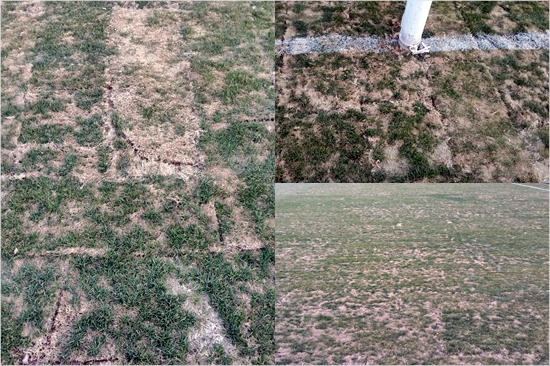 지난시즌중국FA컵우승팀자격으로아시아축구연맹(AFC)챔피언스리그2015에출전한산둥루넝은전북현대와조별예선2차전을앞두고사실상축구장구실을할수없는경기장을훈련장을제공해논란의중심에섰다.(자료사진=전북현대모터스)