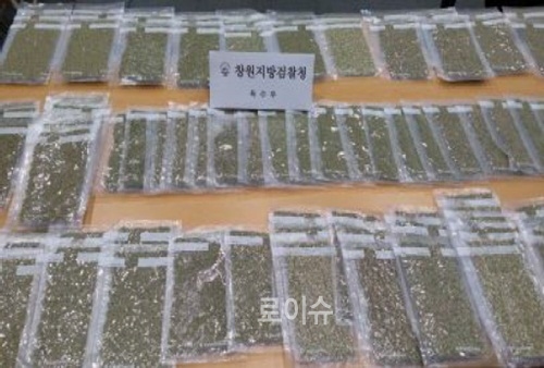 ▲특송화물에은닉된대마.(사진제공=창원지검)