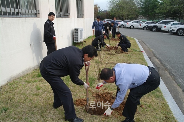 ▲울산구치소직원들이식목행사를갖고있다.(사진제공=울산구치소)