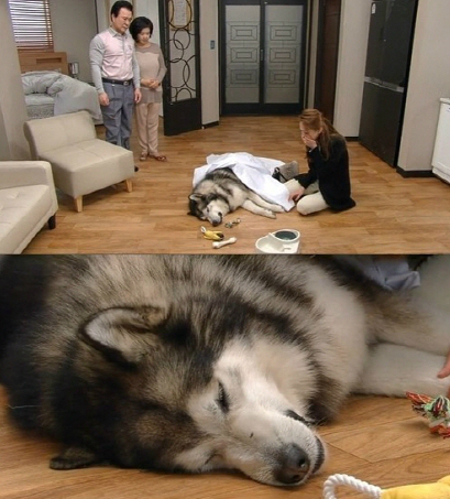 (사진=방송캡처)