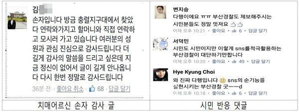 ▲시민반응및손자감사글.