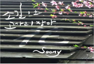 신곡 장필순 "내노래 듣고 슬퍼하면 왠지 좋아요"
