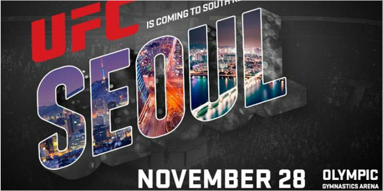 UFC 한국 상륙…11월 28일 서울 개최 확정