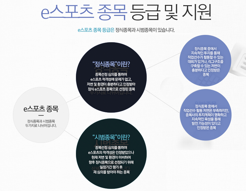 한국e스포츠협회, LoL 등 5개 e스포츠 종목 선정