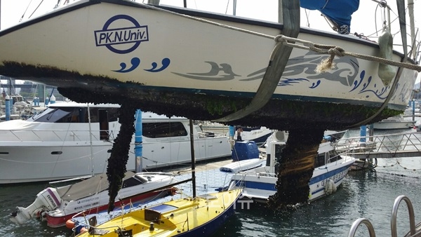 ▲도난요트.(사진제공=부산해경안전서)