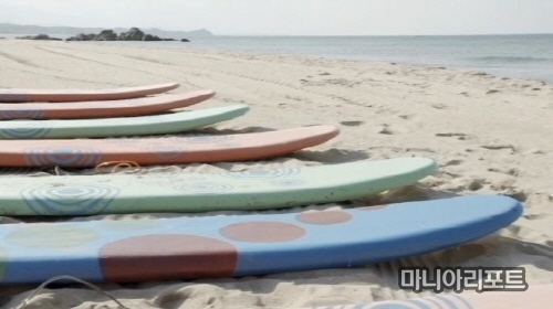 서핑, 이제 강원도 '서피비치'에서 즐기자