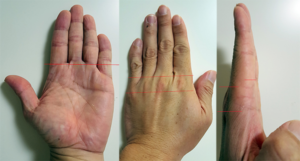 ▲손가락의길이는보는위치에따라다르다.이때문에그립의오류가발생할수있다.