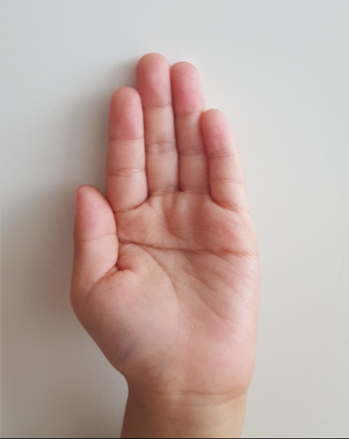 ▲손가락이짧은골퍼에게는팜그립이적합하다.