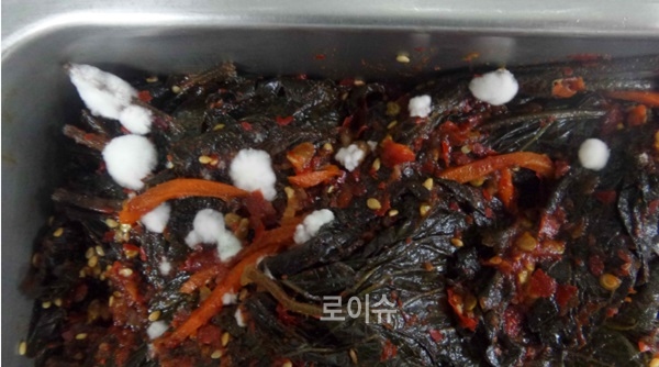 ▲곰팡이가핀‘조림깻잎’.(사진제공=부산지검동부지청)