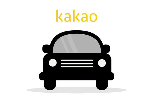 [비즈] 카카오, 택시 이어 대리운전기사사업 결정...내년 상반기 출시