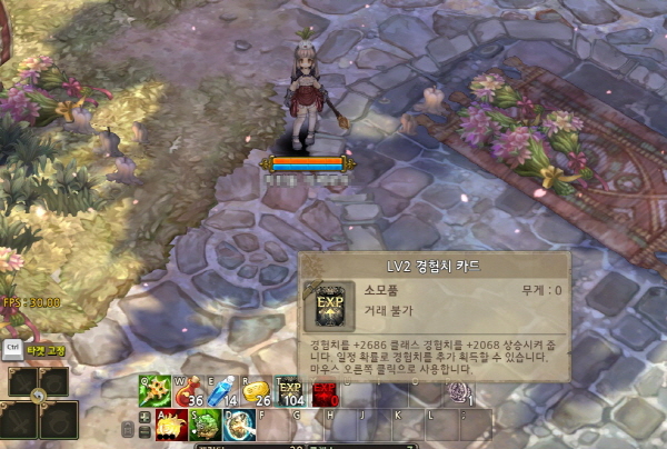 레벨업의 원동력 경험치 카드