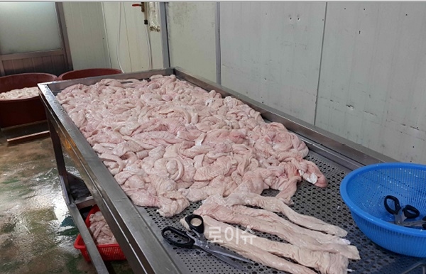 ▲냉동막창을냉장상태로유통하기위하여세척및가공하는과정.(사진제공=대구지검)
