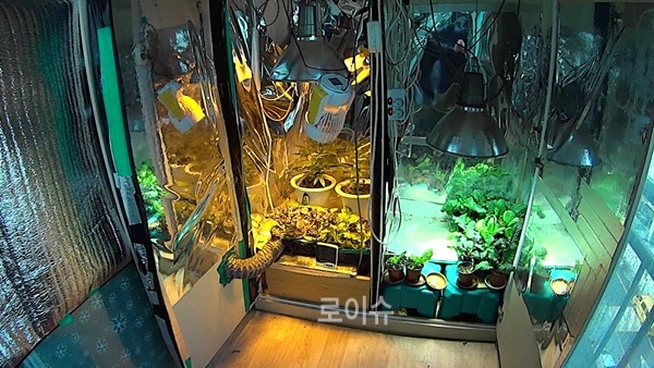 전열기,반사판,환풍장치가갖춰진대마재배시설(아파트베란다).(사진제공=부산경찰청)