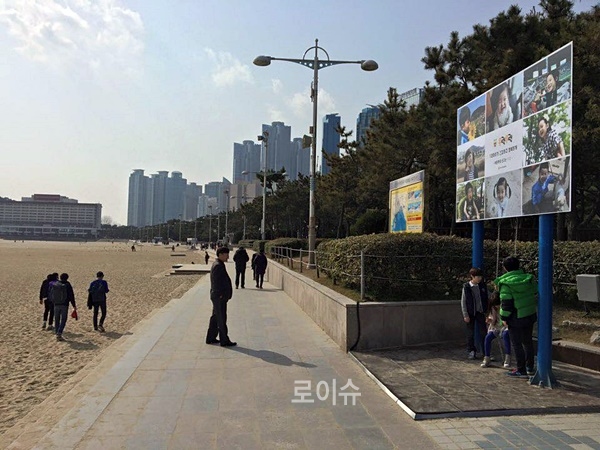 해운대해수욕장에설치된광고판.