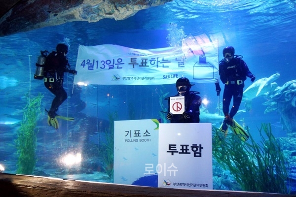 아쿠아리스트가수조안에설치된물속투표소에서투표를하는등의이색퍼포먼스를선보이고있다.(사진제공=부산선관위)