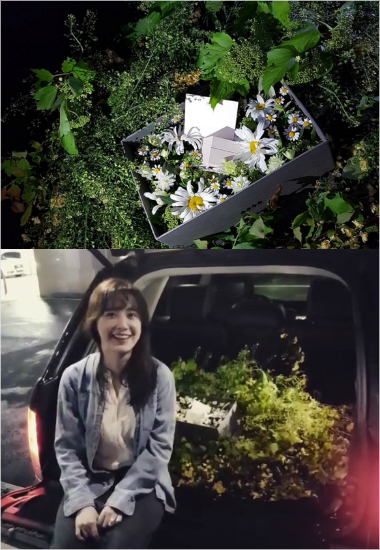(사진=안재현SNS캡처)