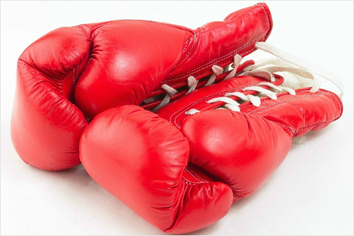 사진=스마트이미지제공