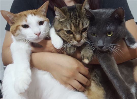 왼쪽부터 콩테, 라리, 뜬금