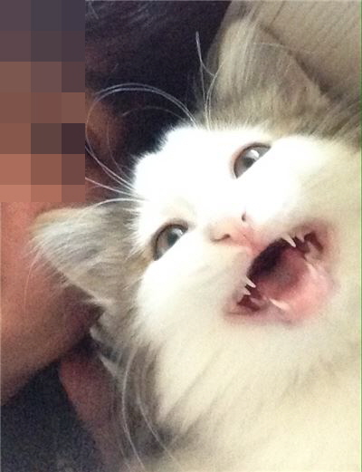 독자분들 안녕!