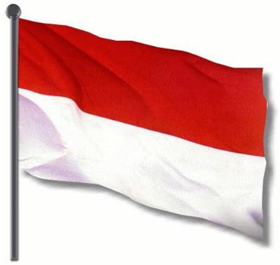 [이슈] 인도네시아, 게임 독려 '게임의 날' 공식 지정