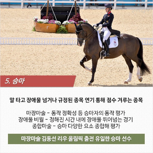 "우리가 이긴거야?" 잘 모르는 올림픽 종목 Top 5