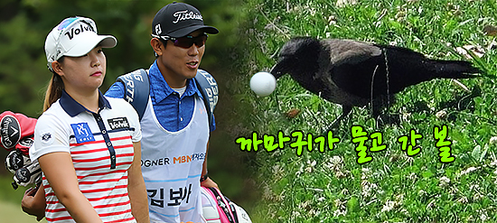 사진편집=박태성기자