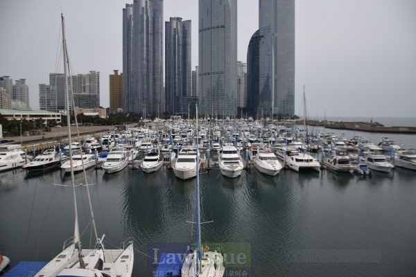 수영만 요트경기장모습.