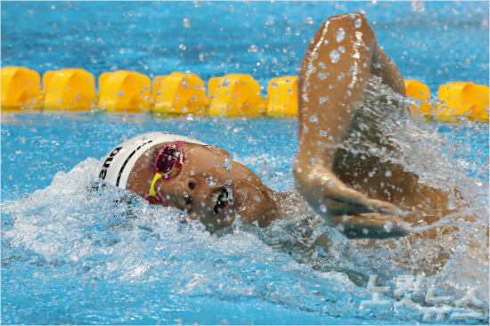 박태환(자료사진=노컷뉴스)