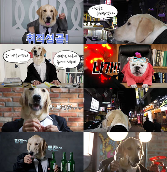 가수 박상민, '눈물빵' 이색 M/V 눈길… 강아지 의인화 기법 화제