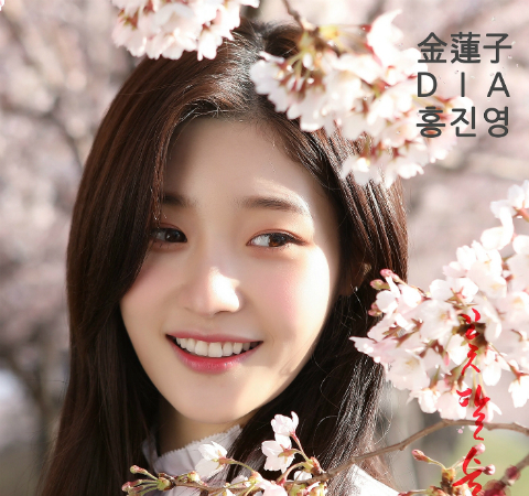 다이아 채연 "트로트 도전? 술 한 잔 하다가…"