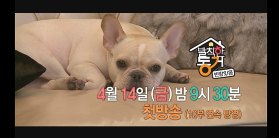 MBC'발칙한동거빈방있음'예고편(사진=예고편캡처)
