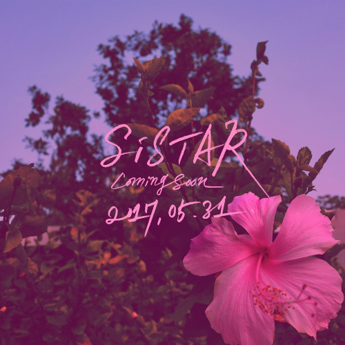 '서머 퀸' 씨스타, 31일 출격…"역대급 퀄리티 곡"