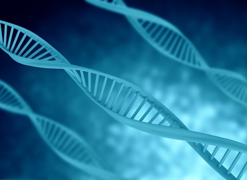 난치병 치료 ‘유전자 가위기술’ 연구, 미국서 가장 활발