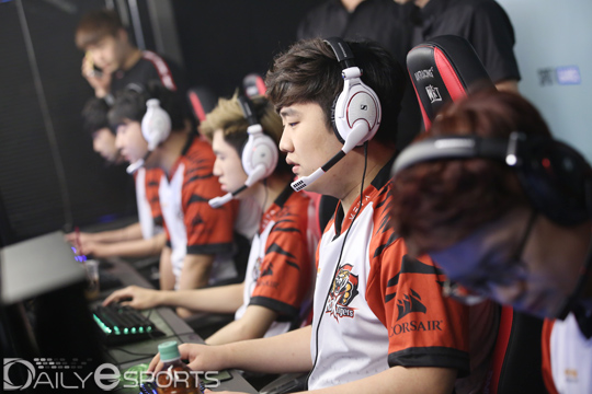 락스 타이거즈.