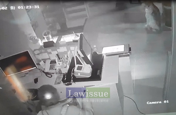 상가에 침입해 금품을 절취하는 피의자 영상캡처.