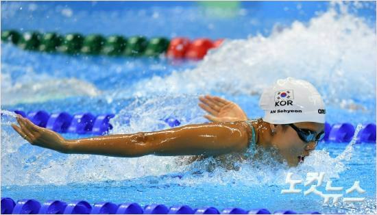 '어메이징' 안세현, 女수영 올림픽 메달 희망을 쐈다