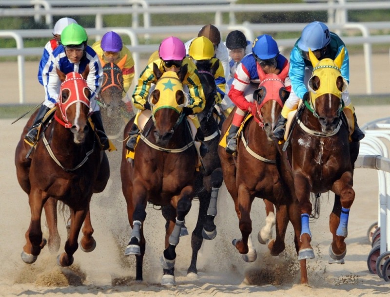 경주모습.(사진=한국마사회)