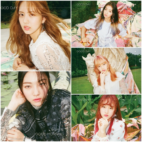 ‘데뷔’ 굿데이 “넘치는 에너지, 목표는 신인상” (종합)