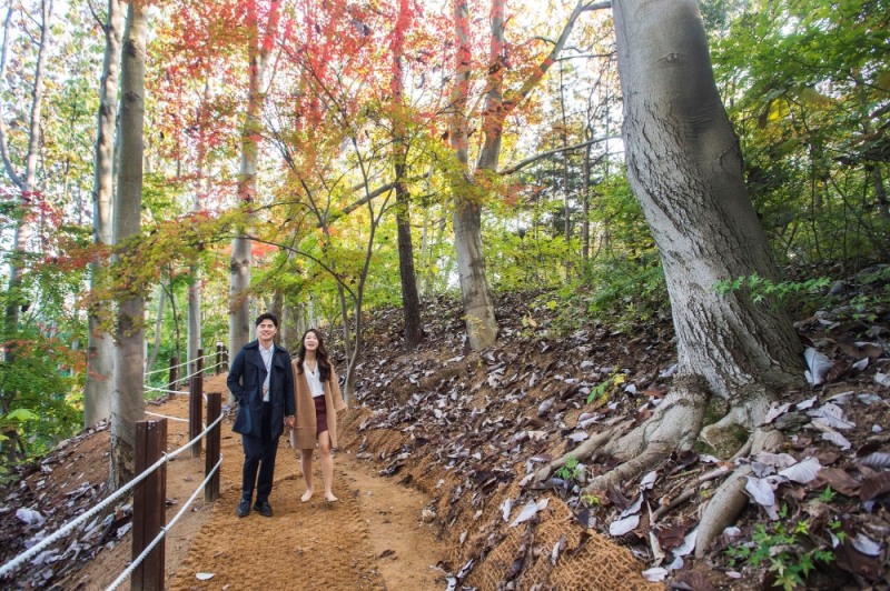 (사진=에버랜드)