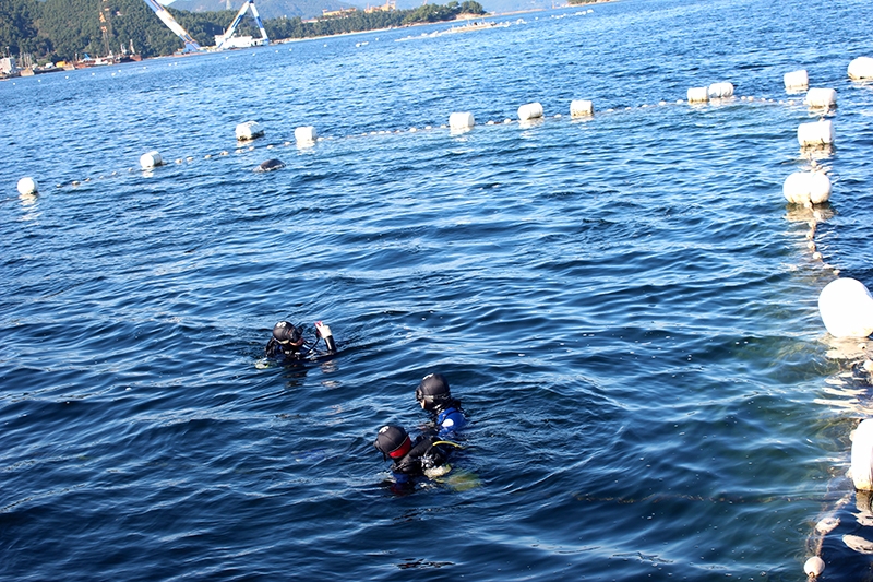 부산아쿠아리움 ‘토종고래’ 상괭이 긴급구조 진행