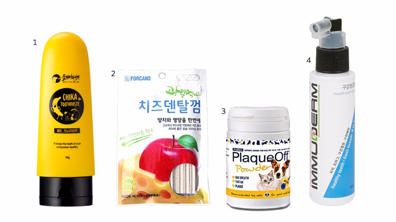 반려견 치아 건강 지켜주는 구강케어제품은 뭐?