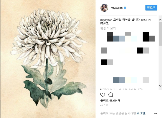 가수 선미 인스타그램 캡처.
