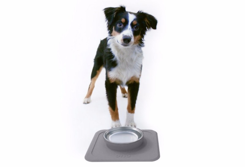 미라클펫, 반려견 위한 오노프렌즈 밥그릇 론칭