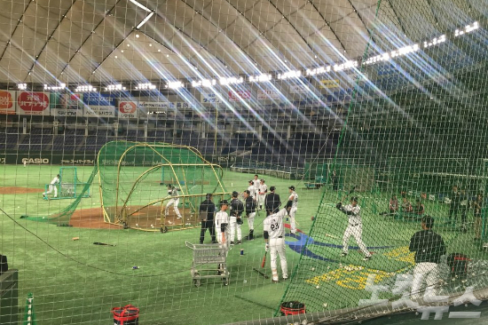 15일 일본 도쿄돔에서 훈련을 소화한 대만 야구대표팀. 진지한 분위기 속에서 실전과 다름없는 훈련을 진행했다. (사진=노컷뉴스)