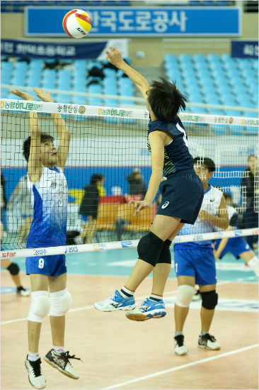 한국배구연맹(KOVO)은 9일부터 이틀간 제10회 김천 KOVO컵 유소년배구대회를 개최한다.(사진=KOVO 제공)